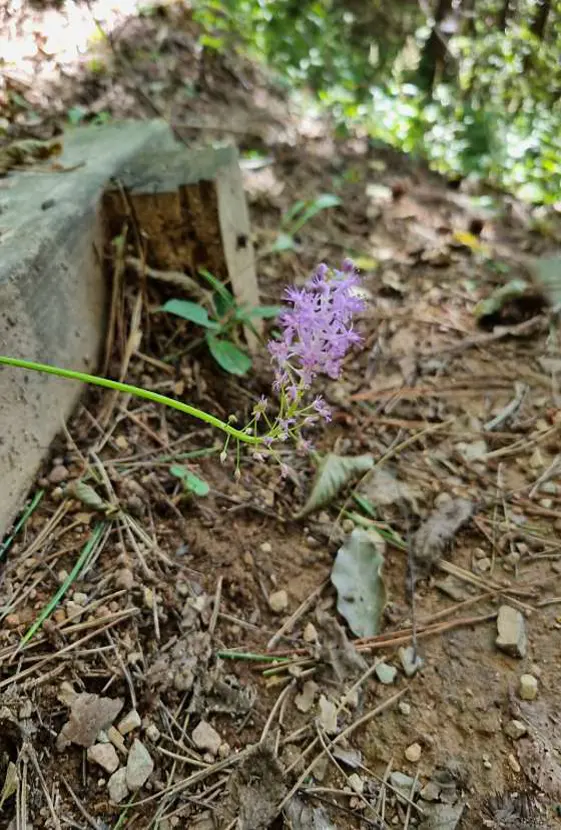 녹산수문공원