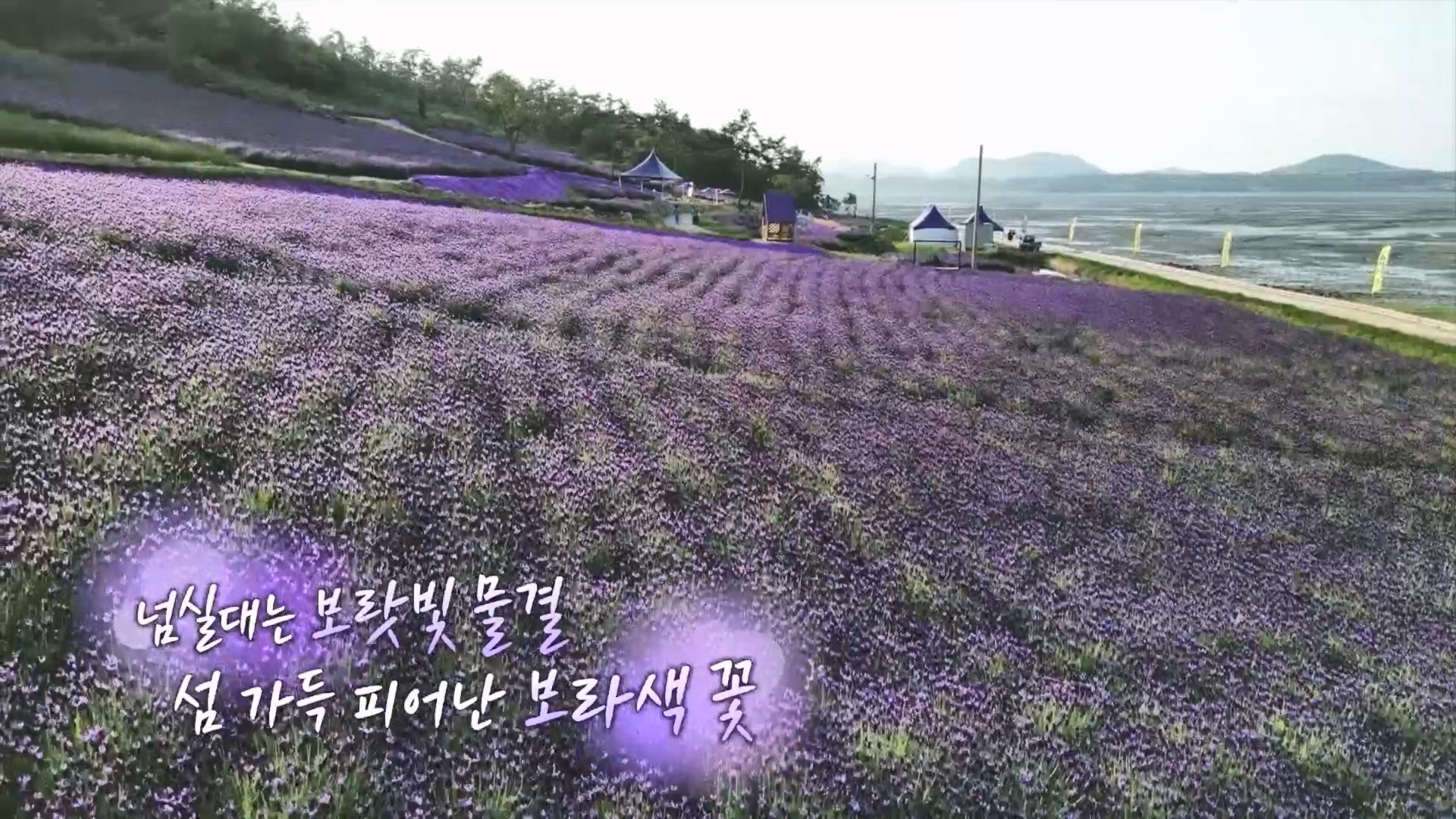 다큐 On.E201.230610p.H264-F1RST.mp4_20230611_154103.340.jpg