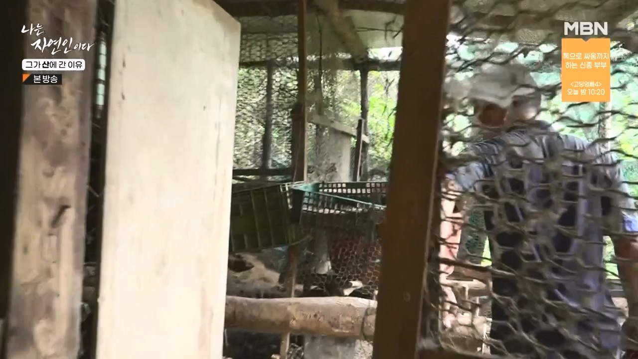 나는 자연인이다.E575.231012p-NEXT.mp4_20231012_200958.369.jpg