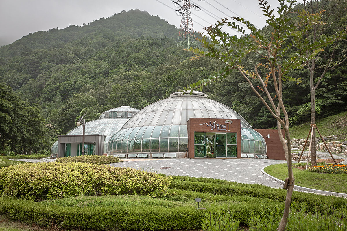 강릉 솔향수목원