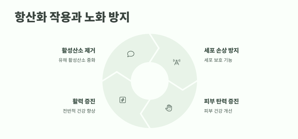 보리수 효소 효능 및 활용법 6