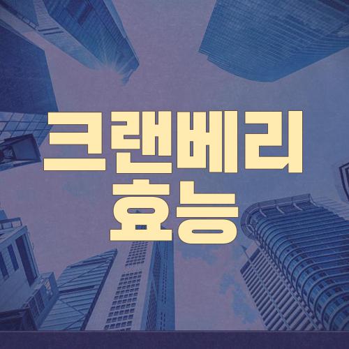 크랜베리 효능