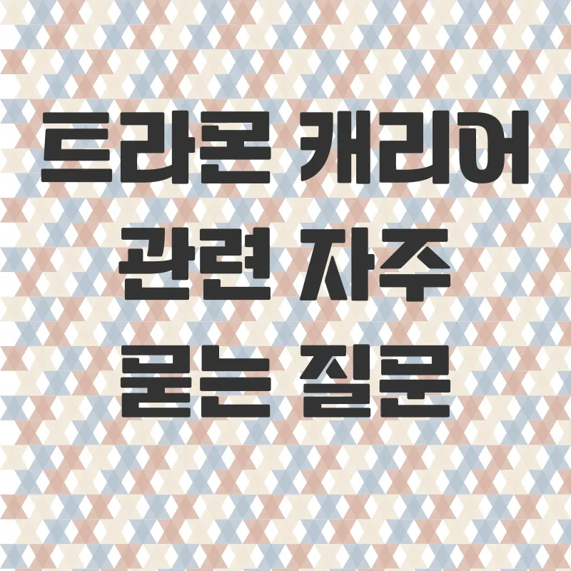 트라몬캐리어_4