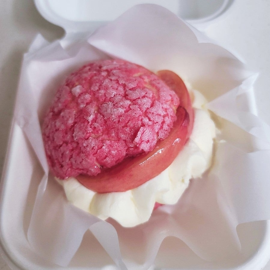 동탄 롯데백화점 디저트 노티드 동탄롯데 동탄 도넛 맛집