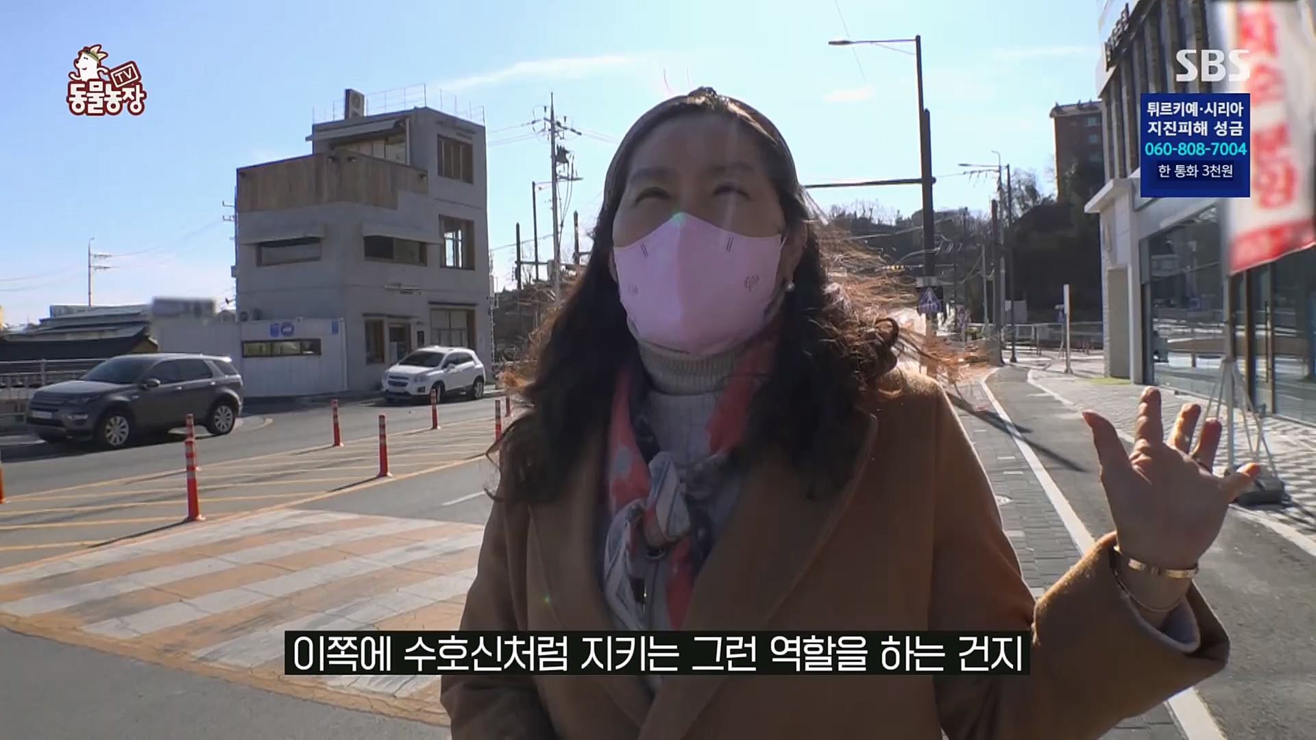 TV 동물농장.E1109.230219p.H264-F1RST.mp4_20230219_142843.899.jpg