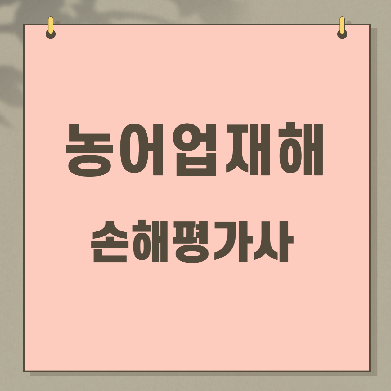  농어업재해 손해평가사, 당신의 전문성 업그레이드