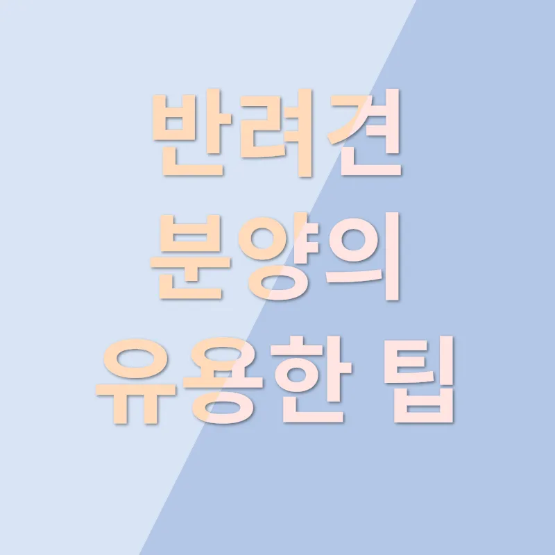 반려견 분양_2