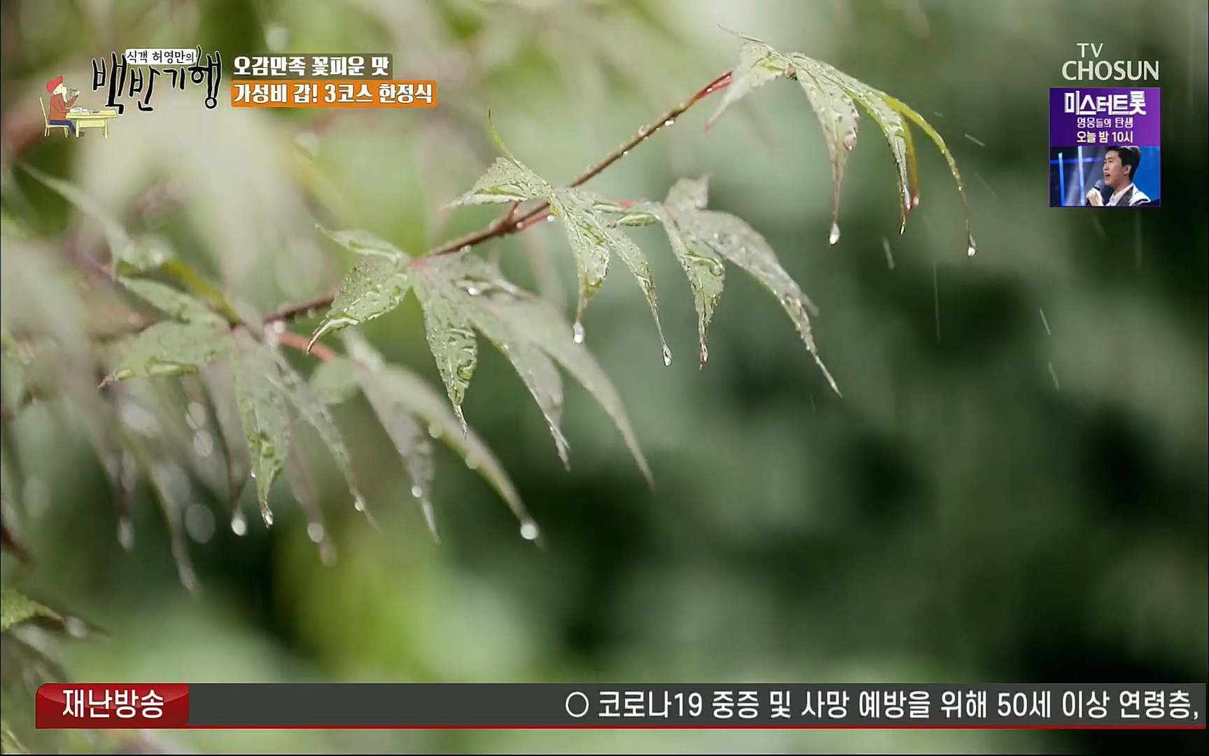 식객 허영만의 백반기행.E163.220805p.H264-F1RST.mp4_20220806_180759.945.jpg