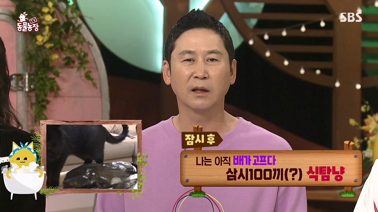 TV 동물농장.E1138.230918p-NEXT.mp4_20230917_174223.795.jpg