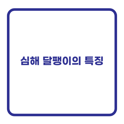 심해 달팽이의 특징