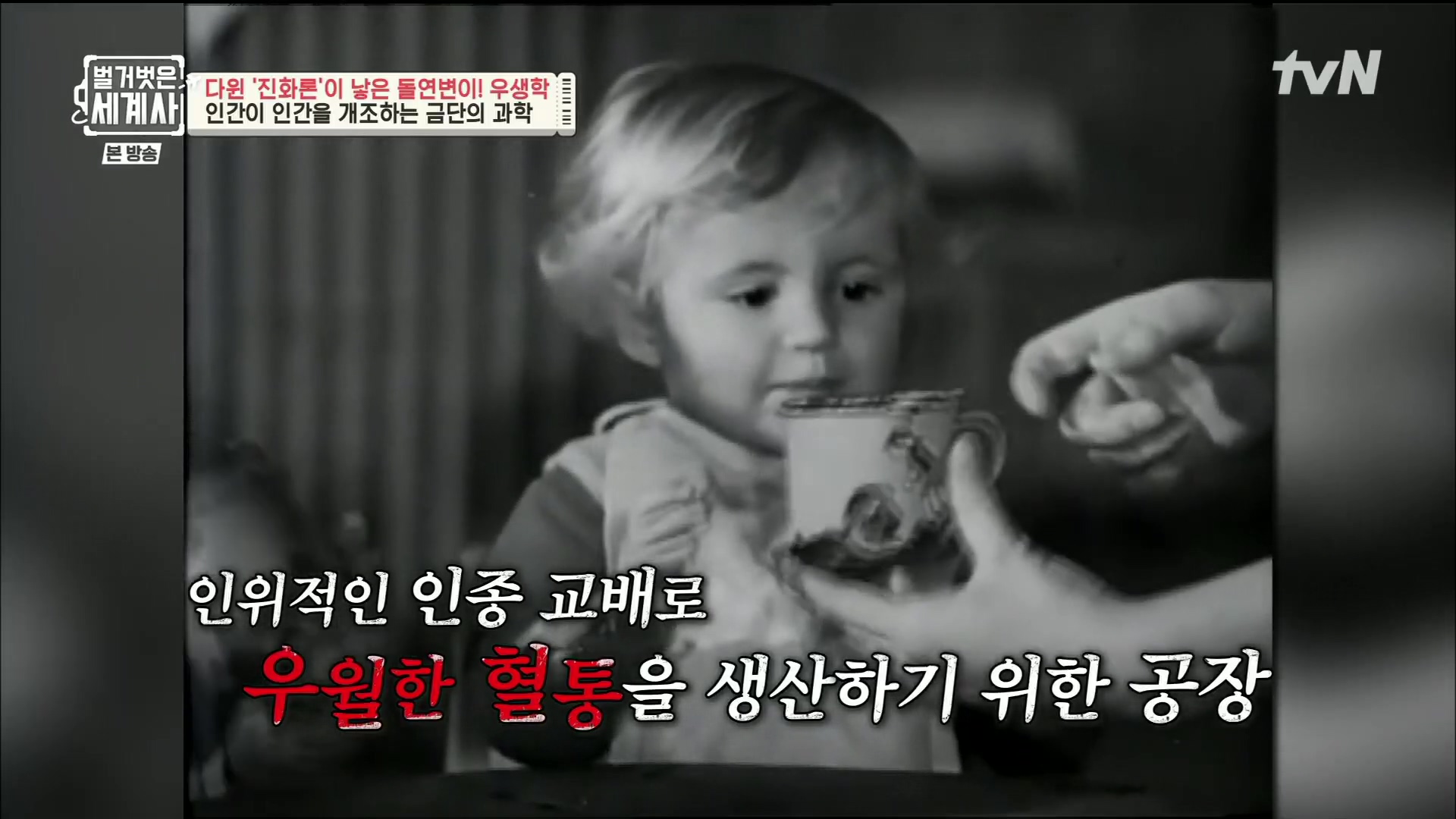 벌거벗은 세계사.E97.230502p.H264-F1RST.mp4_20231224_162012.624.jpg