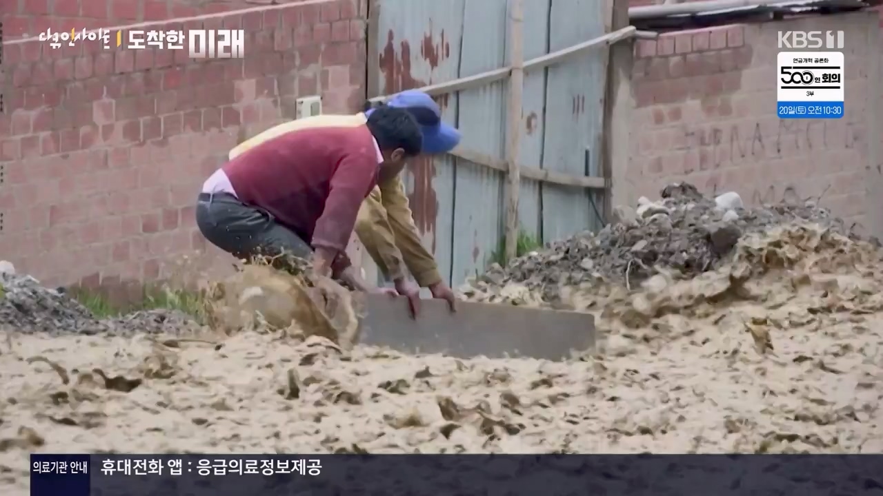 다큐 인사이트.E185.240419p-NEXT.mp4_20240420_161121.514.jpg