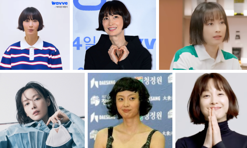  이나영 원빈 근황 활동을 안하는 이유?(프로필 나이 박하경 여행기 정보)