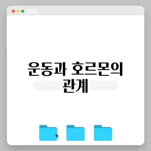 운동과 호르몬의 관계