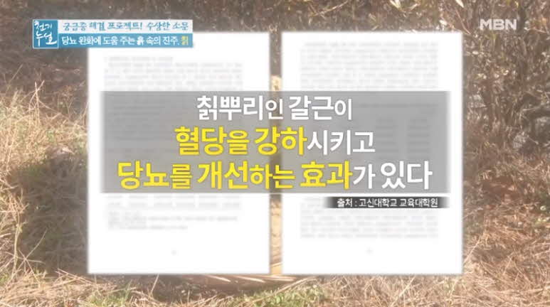  칡즙 효능 정확히알기