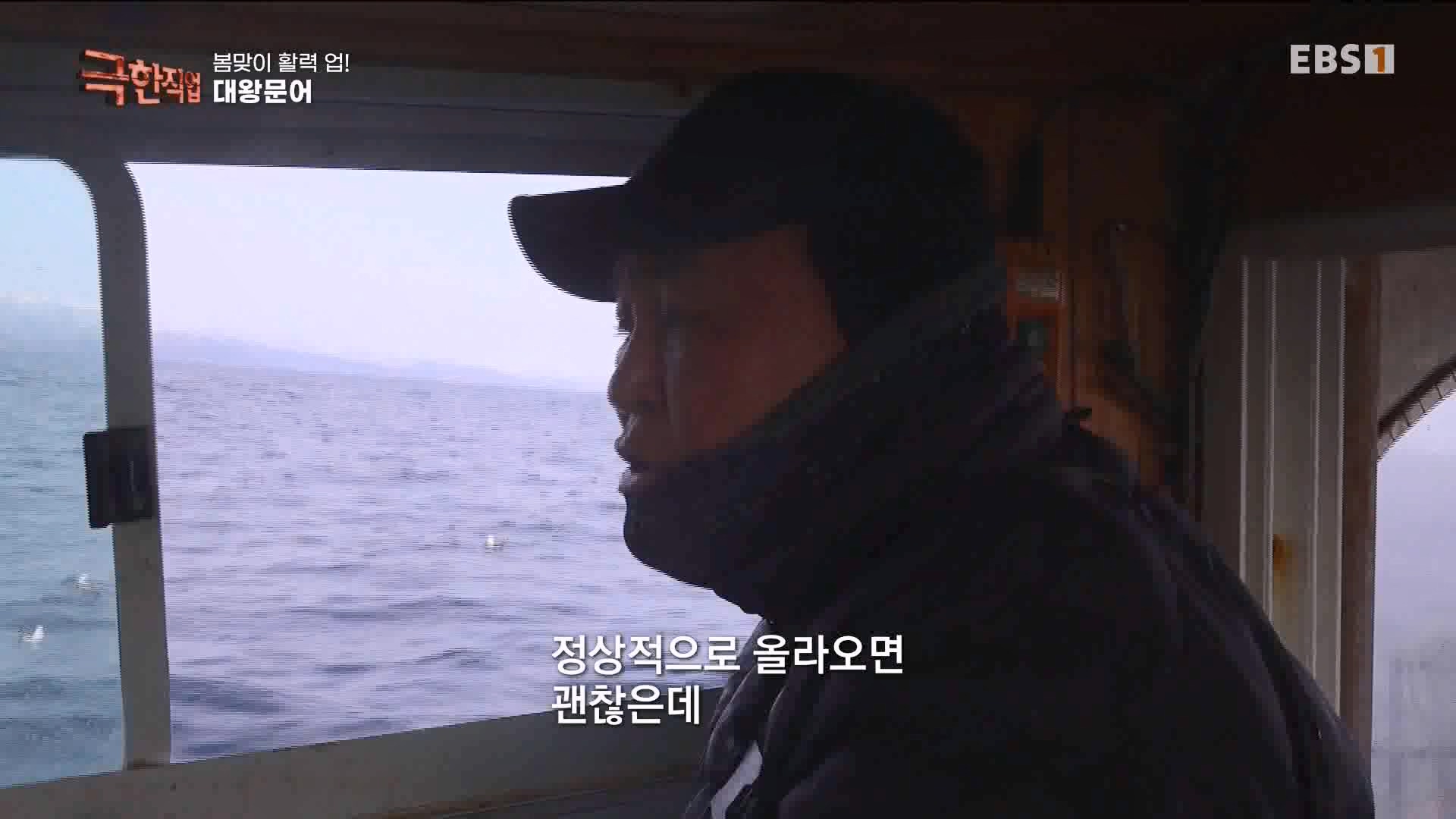 [극한 직업] 장어와 대왕문어 240316.mp4_20240317_153641.187.jpg