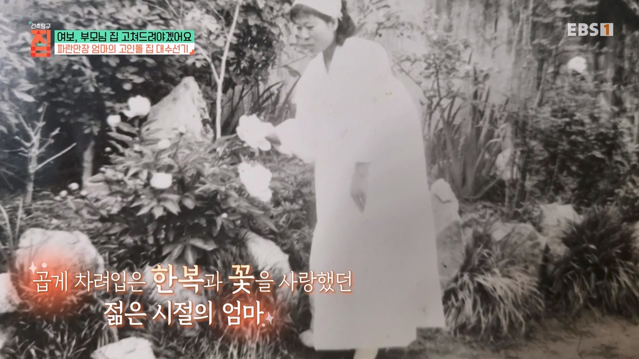 TV - 전 국민의 평생학교 EBS여보, 부모님 집 고쳐드려야겠어요.mp4_20231223_172542.691.jpg