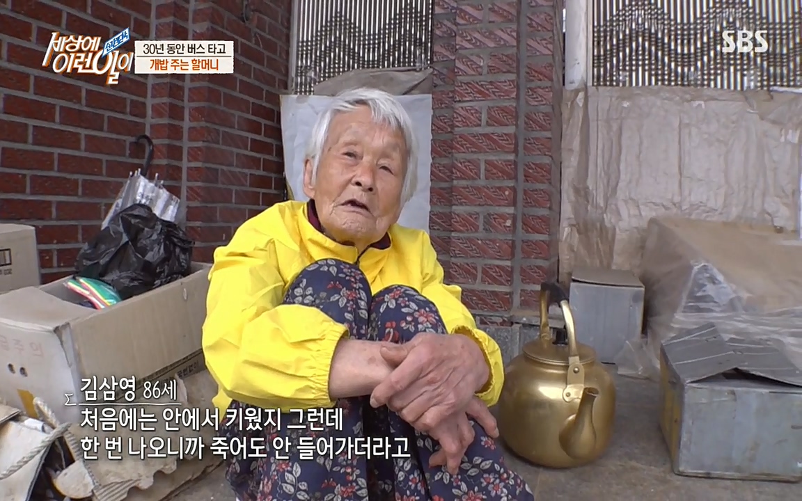 순간포착 세상에 이런일이.E1177.220427p-NEXT.mp4_20220427_182914.283.jpg