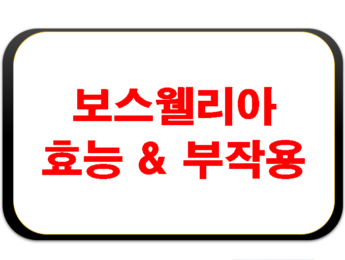  보스웰니아 부작용 효능 WCS란?
