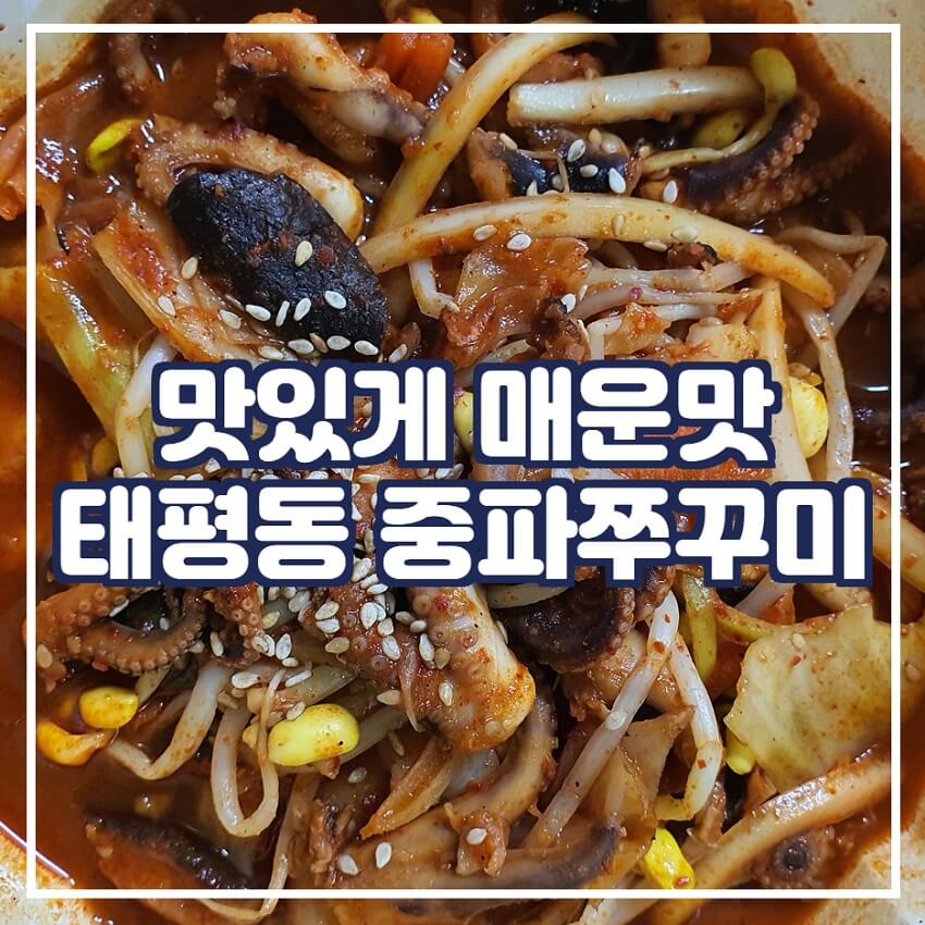  성남 쭈꾸미 맛집, '태평동 중파쭈꾸미'