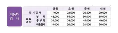 자동차 종합검사