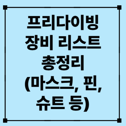 프리다이빙 장비 리스트 총정리 (마스크, 핀, 슈트 등)