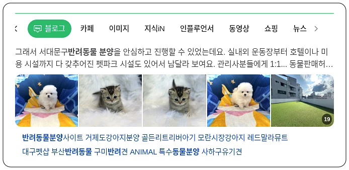 반려동물분양_1_subsection