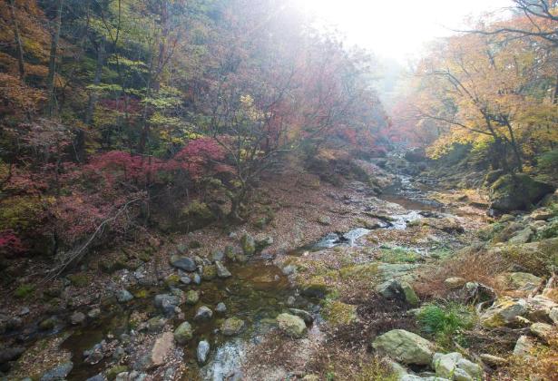  [강원도여행]강원도 원주 가볼만한곳