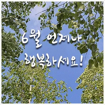 6월 인사말 모음 상황별 이미지 일러스트_26