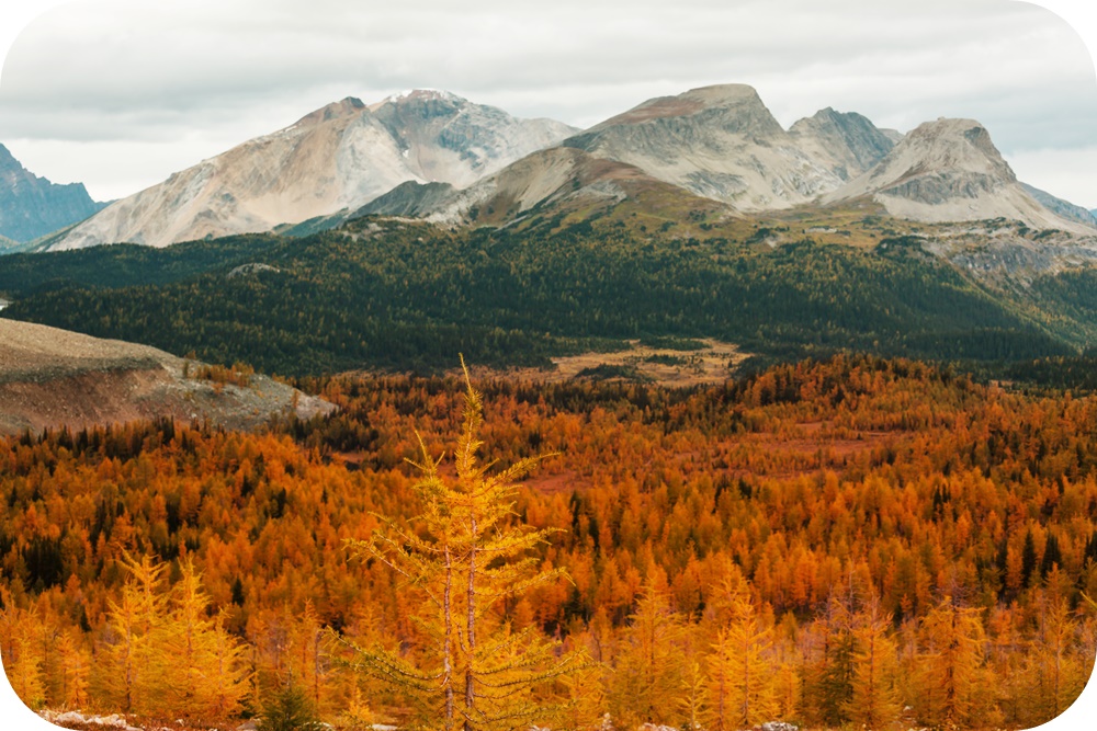 캐나다-가을-단풍-붉은-산-풍경