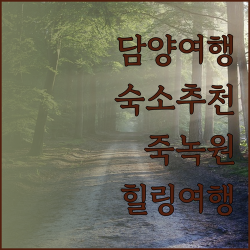 담양 핫플 숙소 추천 죽녹원 근처 게