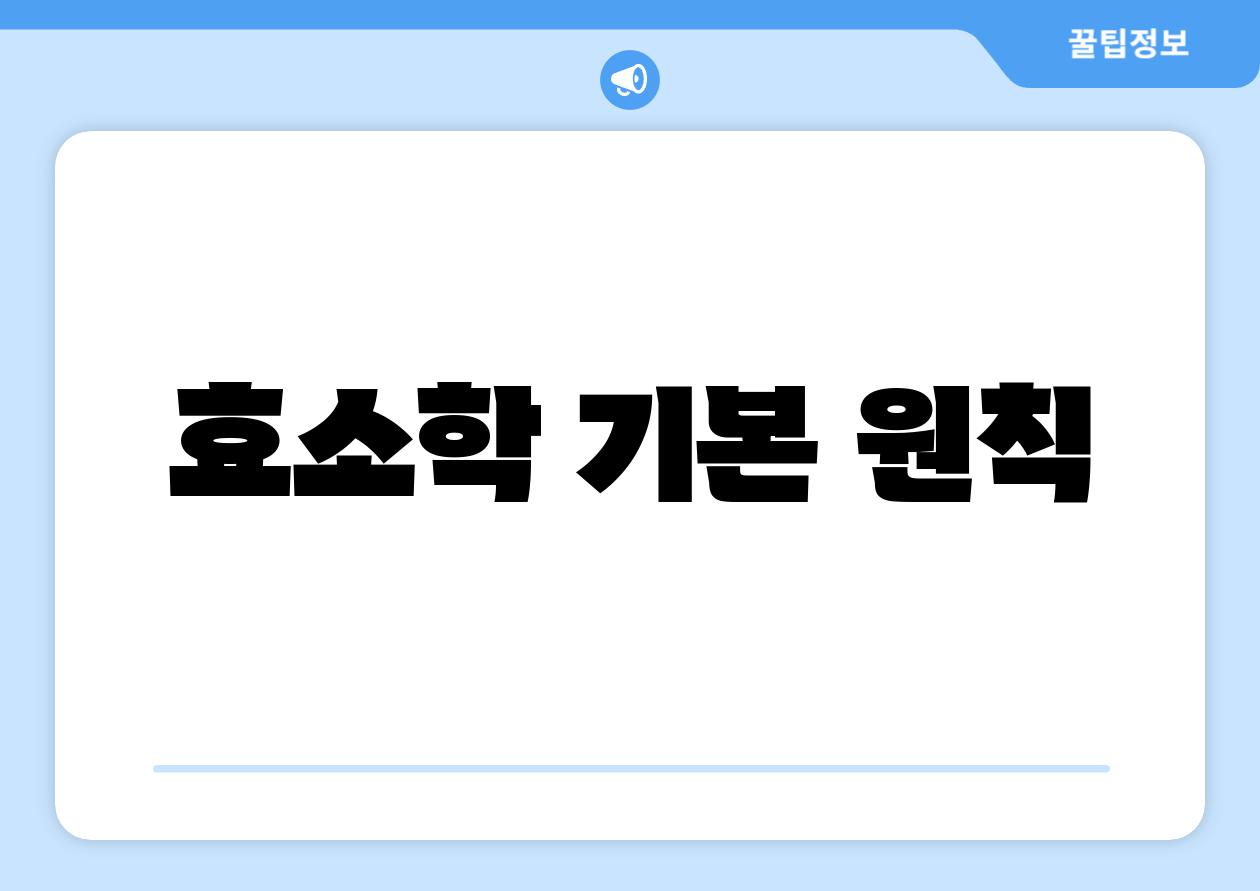 효소학 기본 원칙