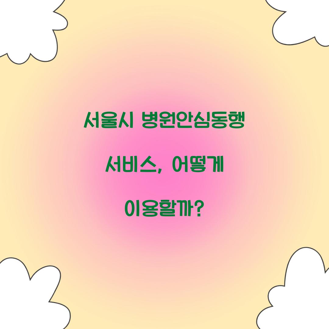 서울시 병원안심동행 서비스