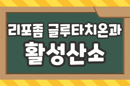 리포좀 글루타치온과 활성산소