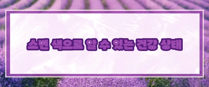 소변 색깔로 보는 건강 (+이상징후)