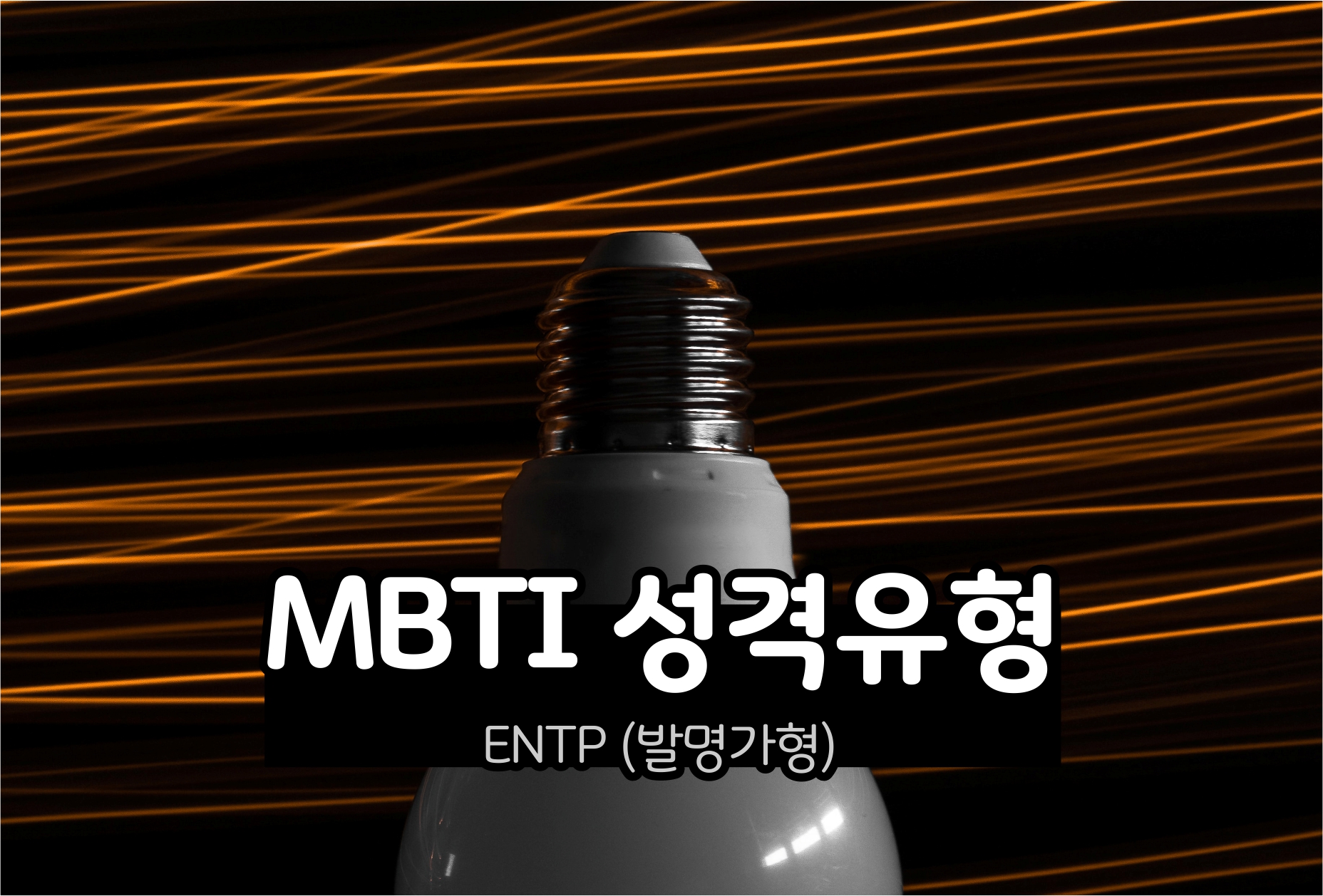  MBTI 성격 - ENTP유형 (발명가형)