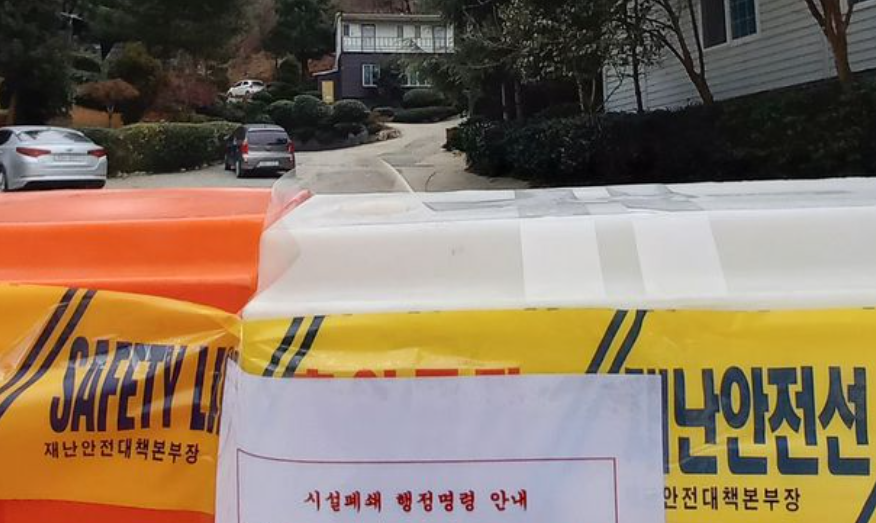  반려동물  코로나 19  감염