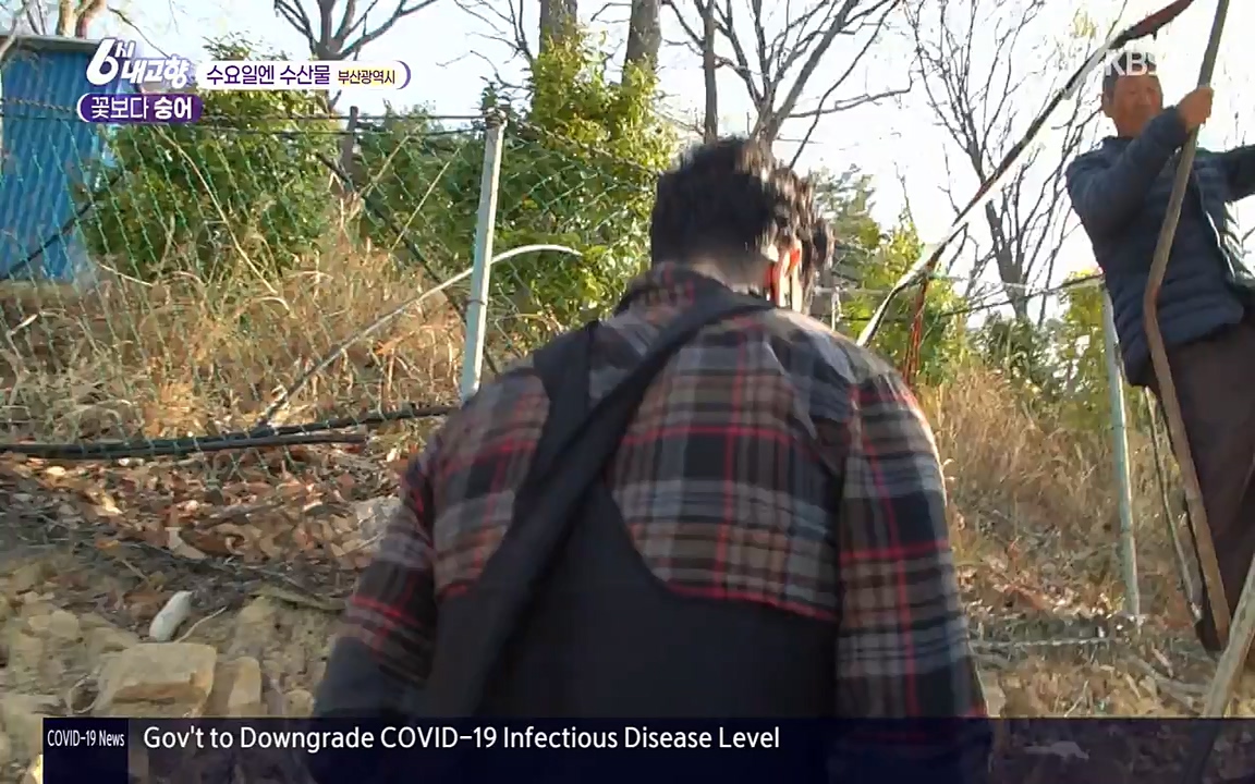 6시 내고향.E7523.220421p-NEXT.mp4_20220507_181116.746.jpg