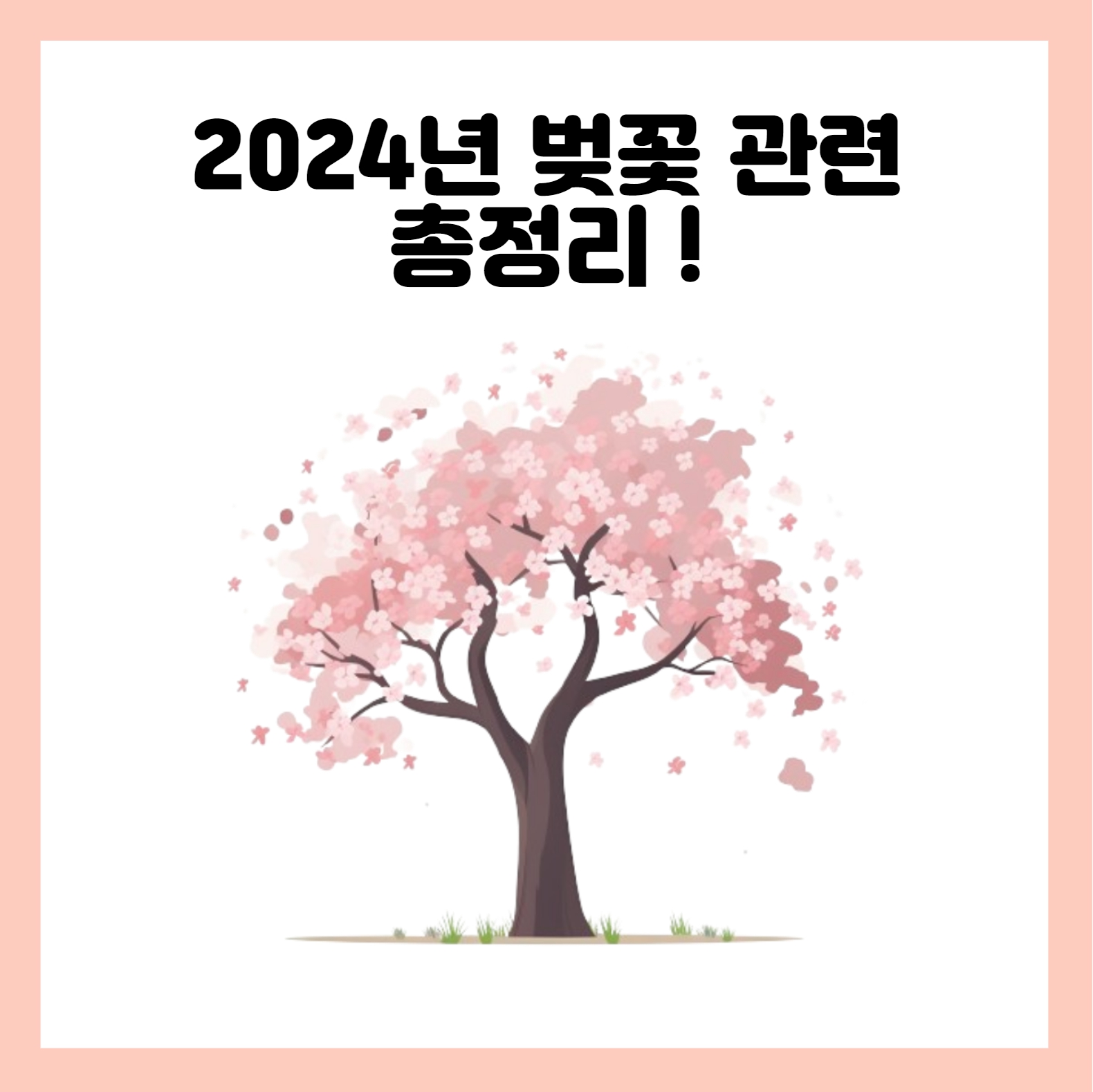 2024년 국내 벚꽃 명소와 개화시기