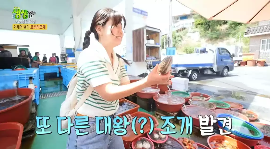 왕우럭 조개 잡는 리포타