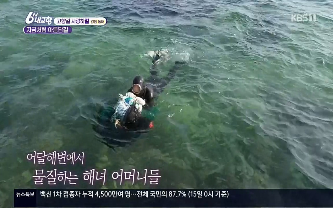 6시 내고향.E7512.220416p.H264-F1RST.mp4_20220502_191908.754.jpg