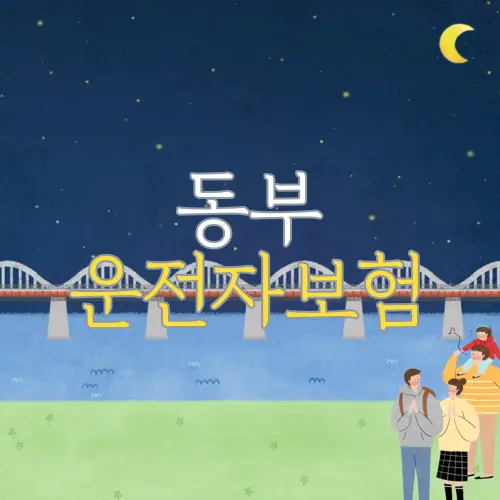 동부 운전자보험