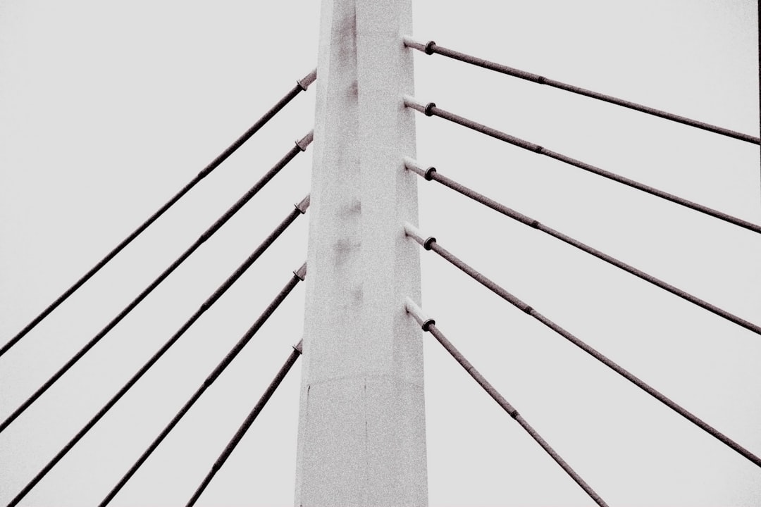 Circulation