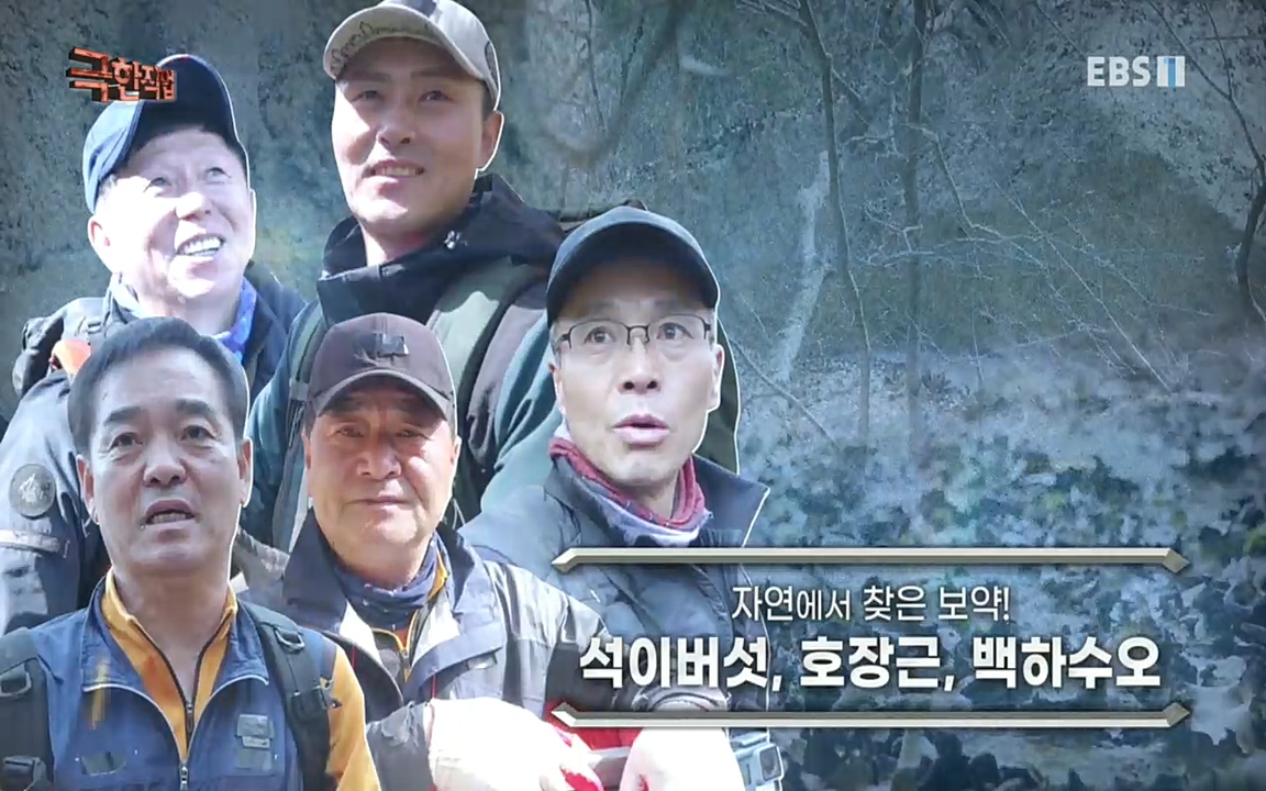 TV - 교육의 중심 EBS자연에서 찾은 보약! 석이버섯, 호장근, 백하수오.mp4_20220518_185444.715.jpg