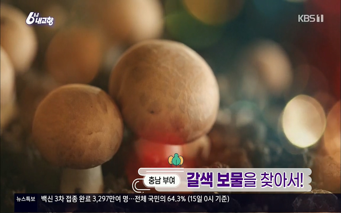6시 내고향.E7512.220416p.H264-F1RST.mp4_20220502_185247.609.jpg
