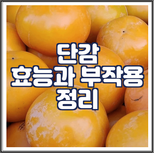  단감 효능과 부작용, 보관법 정리