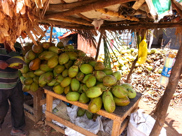 코코넛 구매