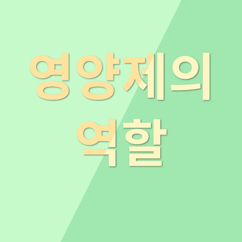 콜레스테롤 낮추기_3