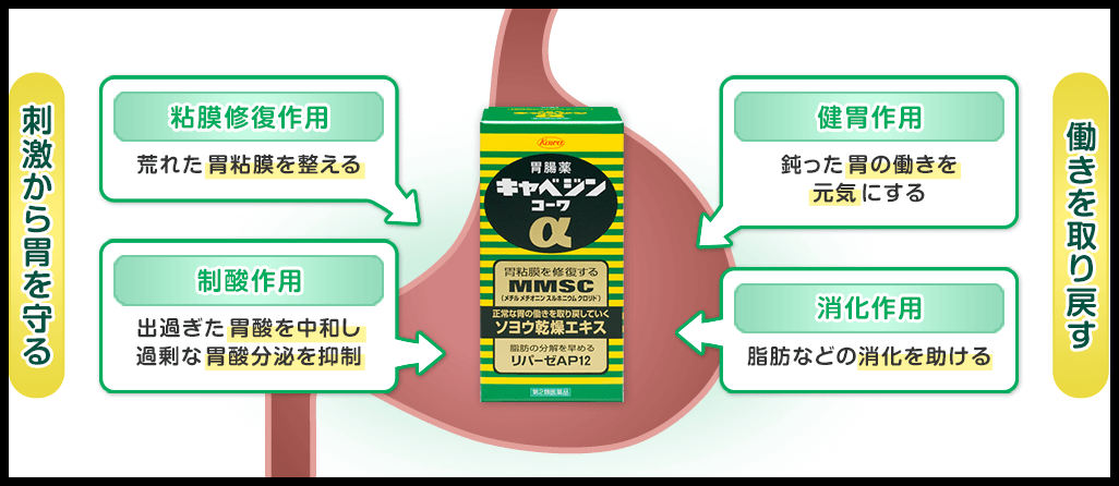 카베진&amp;#44; 일본 국민 위장약의 효능&amp;#44; 부작용&amp;#44; 복용법
