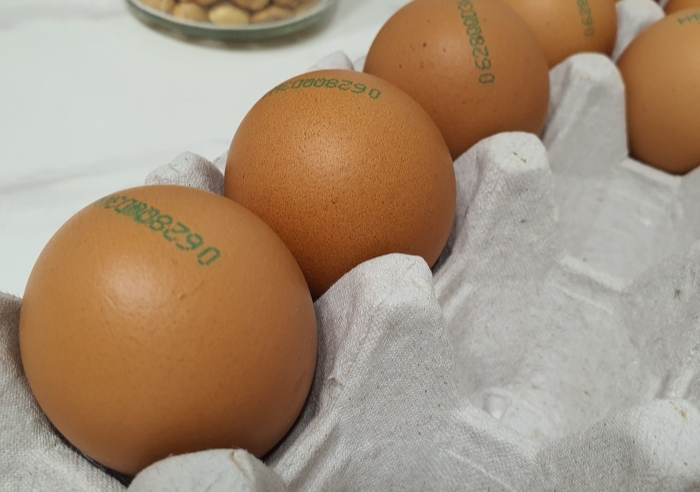 계란판에-놓여있는-달걀